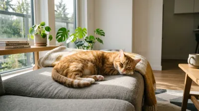 Healthy content cat with bright eyes and glossy coat — a cat thriving once food triggers are identified